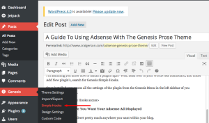 Genesis Simple Hooks Access